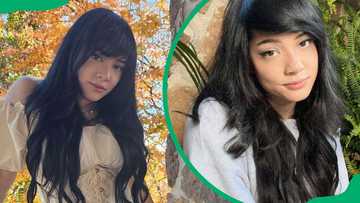Who is Cinna? Age, career and life story of the Twitch star - Briefly.co.za