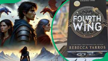 Fourth Wing characters explained: Everything you need to know - Briefly ...