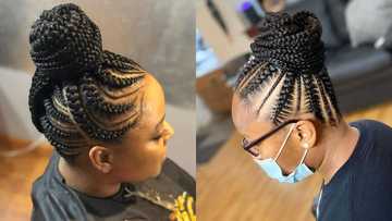 Discover The 20 Hottest Pondo Hairstyles In South Africa Stay On Trend Discover The 20 Hottest Pondo Hairstyles In South Africa Stay On Trend