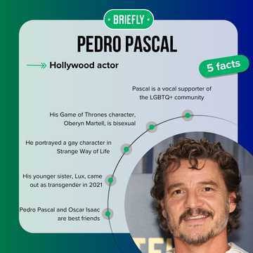 Is Pedro Pascal gay? The truth about his sexual orientation - Briefly.co.za