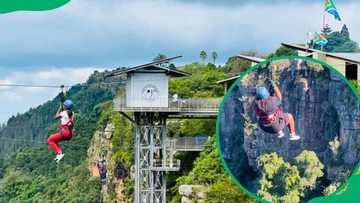 God's Window in Mpumalanga: Things to see and do (2024 guide) - Briefly ...