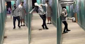 Viral TikTok of 2 Grown Men Running Away From Aggressive Rat Has ...
