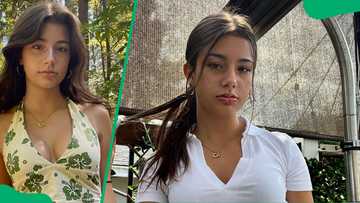 Who is Mikayla Campinos? Her biography and key facts - Briefly.co.za