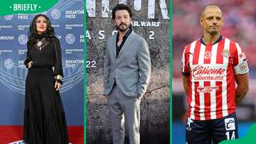Top 15 famous people in Mexico you should know in 2025 - Briefly.co.za