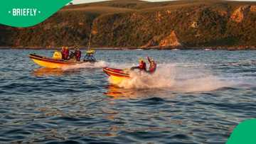 Missing George Surfer Found Safe After Dramatic Buffels Bay Rescue ...