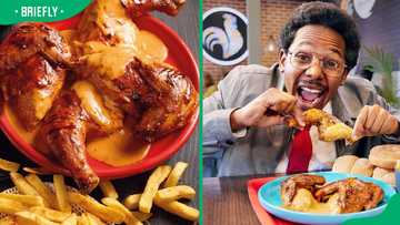 Pedros menu and prices in South Africa (updated for 2024) - Briefly.co.za