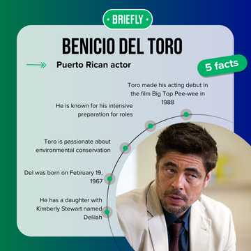 Benicio Del Toro's wife: Is he married? A look at his dating history