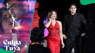 Were Nicole Wallace and Gabriel Guevara ever a real-life couple