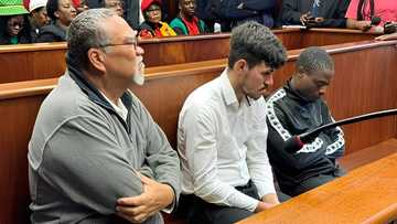Limpopo Pig Farm Murder Trial Postponed to 7 October - Briefly.co.za