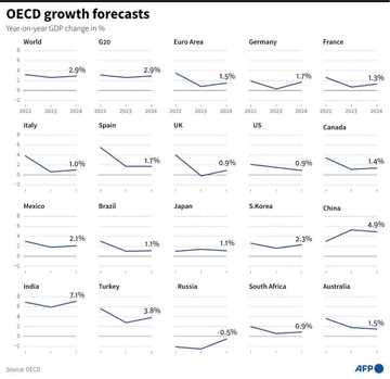 OECD raises global growth forecast but recovery 'fragile' - Briefly.co.za