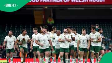 African Rugby Springboks SA Rugby Provides Updates on Ticket Prices for Springboks Games Amid ...