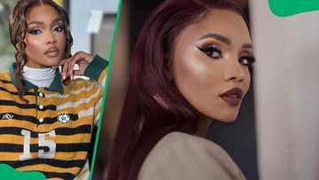 Fatal Seduction cast: Meet the stars of Netflix's steamy thriller