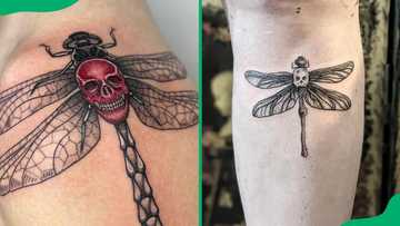 60 stunning dragonfly tattoo ideas and their hidden meanings - Briefly ...