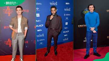Top 40 most famous young male actors under 30 in 2024 - Briefly.co.za