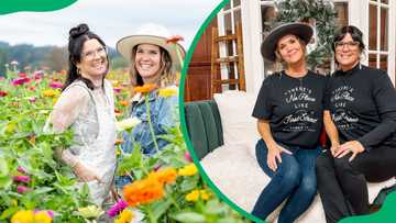 Meet the Unsellable Houses twins, Lyndsay Lamb and Leslie Davis