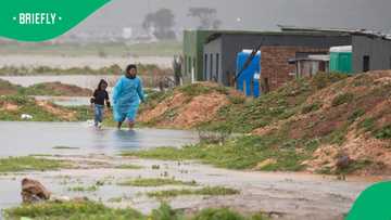 Western Cape Flooding Worsens: Hundreds Displaced as Authorities Issue ...