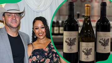 What is Adam Housley's net worth after his Fox News career? - Briefly.co.za