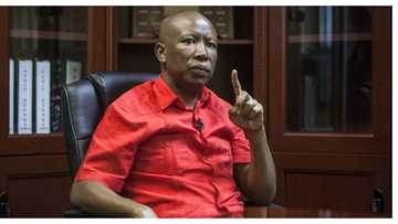 Malema slams Zondo Commission's R350m price tag, calls to cut costs