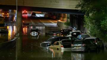 Heroic bus driver drives through powerful flash floods, video of insane act goes viral