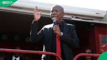 Julius Malema urges documentation of undocumented migrants amid Ekurhuleni murders probe, SA reacts