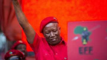 EFF leader Julius Malema says the party has candidates who can run successful municipalities