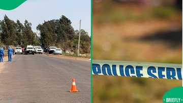 Kempton Park killings: Police confirm most women were sexually assaulted