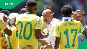 Miguel Cardoso highlights Mamelodi Sundowns player he thinks is underrated