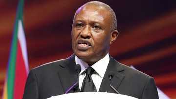 DStv Premiership fixtures have been leaked, Sundowns to take on AmaZulu