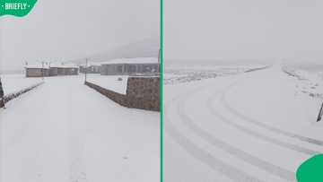 "Peak winter": Lesotho’s Sani Pass blanketed in snow as winter grips the mountain kingdom