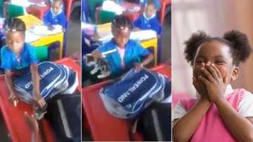 Cat’s out the bag! Little girl takes kitten to school, video leaves peeps with bellyache from laughter
