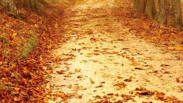 Facts about the four seasons in South Africa