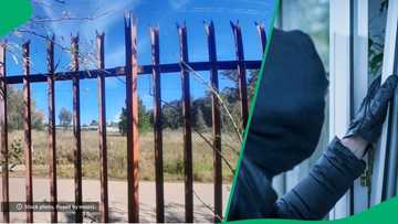 Suspected Pretoria tsotsi dies on fence after allegedly stealing Mackbooks and iPhones