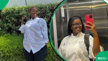 “Did he cheat?”: SA concerned after chef showed off 7 dishes she cooked for her boyfriend, including dessert