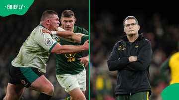 Springboks coach Rassie Erasmus posts cryptic voice note after Furlong ban decision