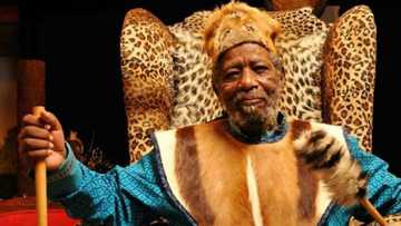 Joe Mafela family members and pictures