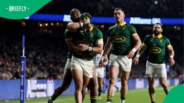 Two Springboks stars come to blows during Sharks vs Stormers, Video