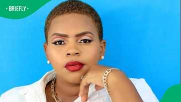 PEP non-stick pan: a six-week update from a customer