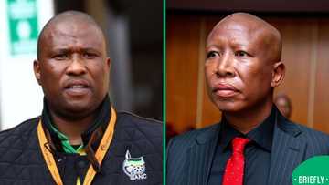 Eastern Cape Premier Oscar Mabuyane threatens legal action against Julius Malema
