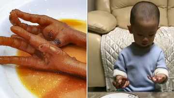 "Just making sure": Boy’s reaction to cooked chicken feet has folks cracking up