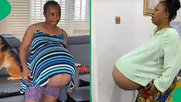 "I would resent my husband": Social media users amazed by lady carrying quadruplets
