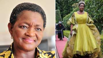 Photos of ANC's Bathabile Dlamini celebrating her 60th at glamorous birthday bash in KZN sparks reactions