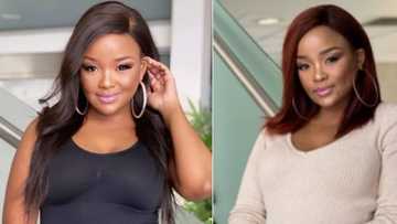 Nonhle Thema misses TV and may return, SA eager for iconic presenter's comeback
