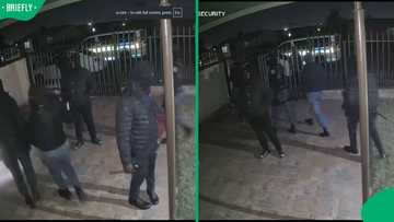“We’re in trouble”: Suspected fake SAPS officials flee Joburg home after alarm goes off, SA worried