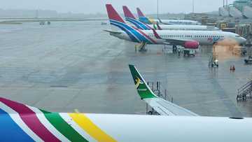 FlySafair Assures Travelers Flights Will Continue Despite Licensing Council Ruling