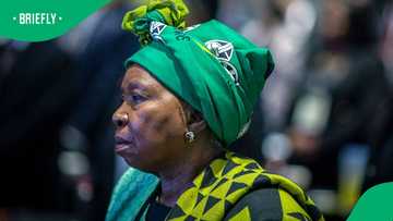 Nkosazana Dlamini-Zuma withdraws voice note attribution against Ronald Lamola