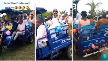 "Now the bride and the groom": Couple arrives at their wedding in convoy of Tuk-Tuks, video of unique show goes viral