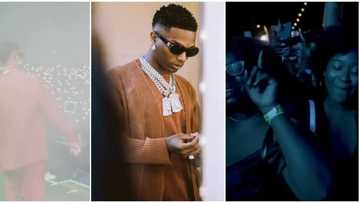 I live for this: Fans go wild as Wizkid shutdown concert in News York City