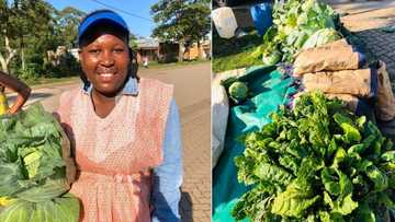Woman celebrates final days of selling veggies, gogo says profits will go towards her graduation outfit