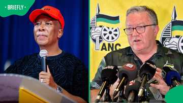 Malema calls ANC MP Cameron Dugmore a white supremacist in Parliament clash