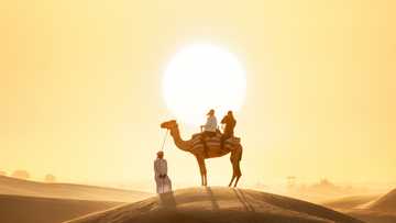 6 reasons to visit Dubai these winter school holidays